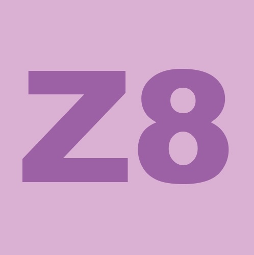 Z8 Mini